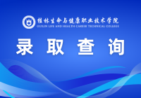 录取查询