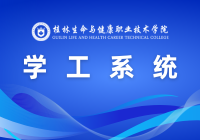 学工系统